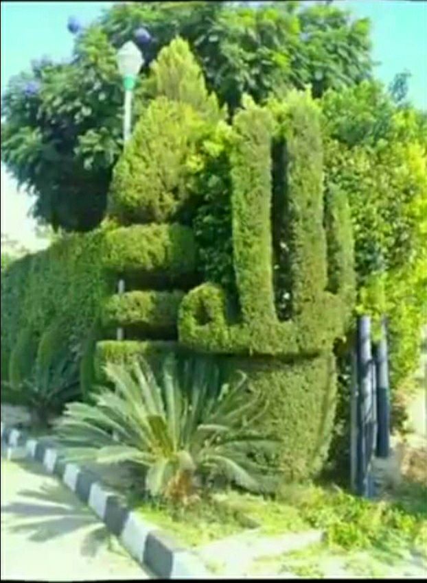 صورة توضيحية