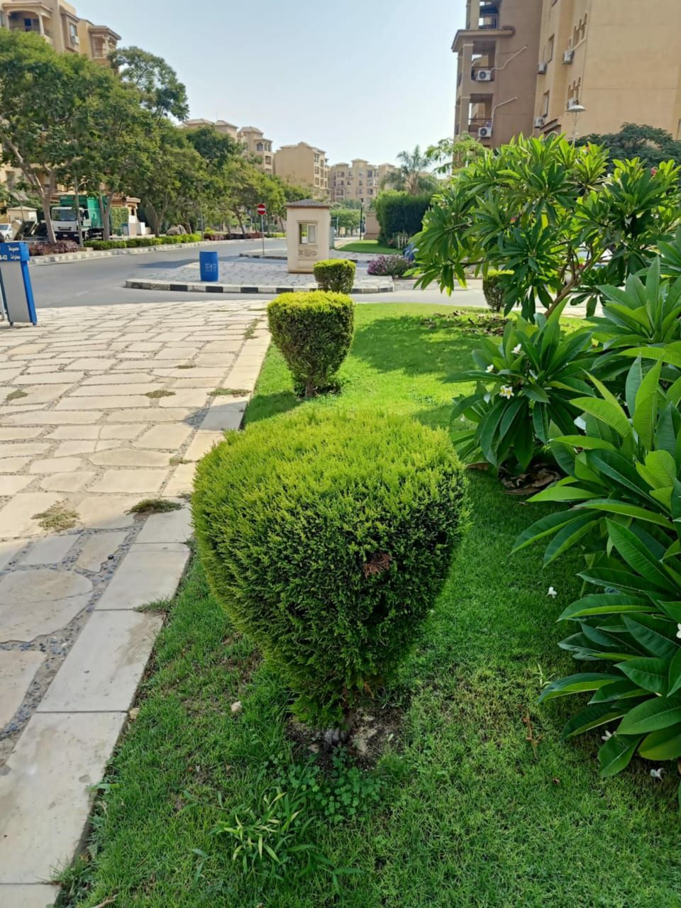 صورة توضيحية