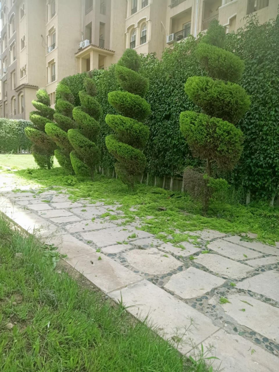 صورة توضيحية
